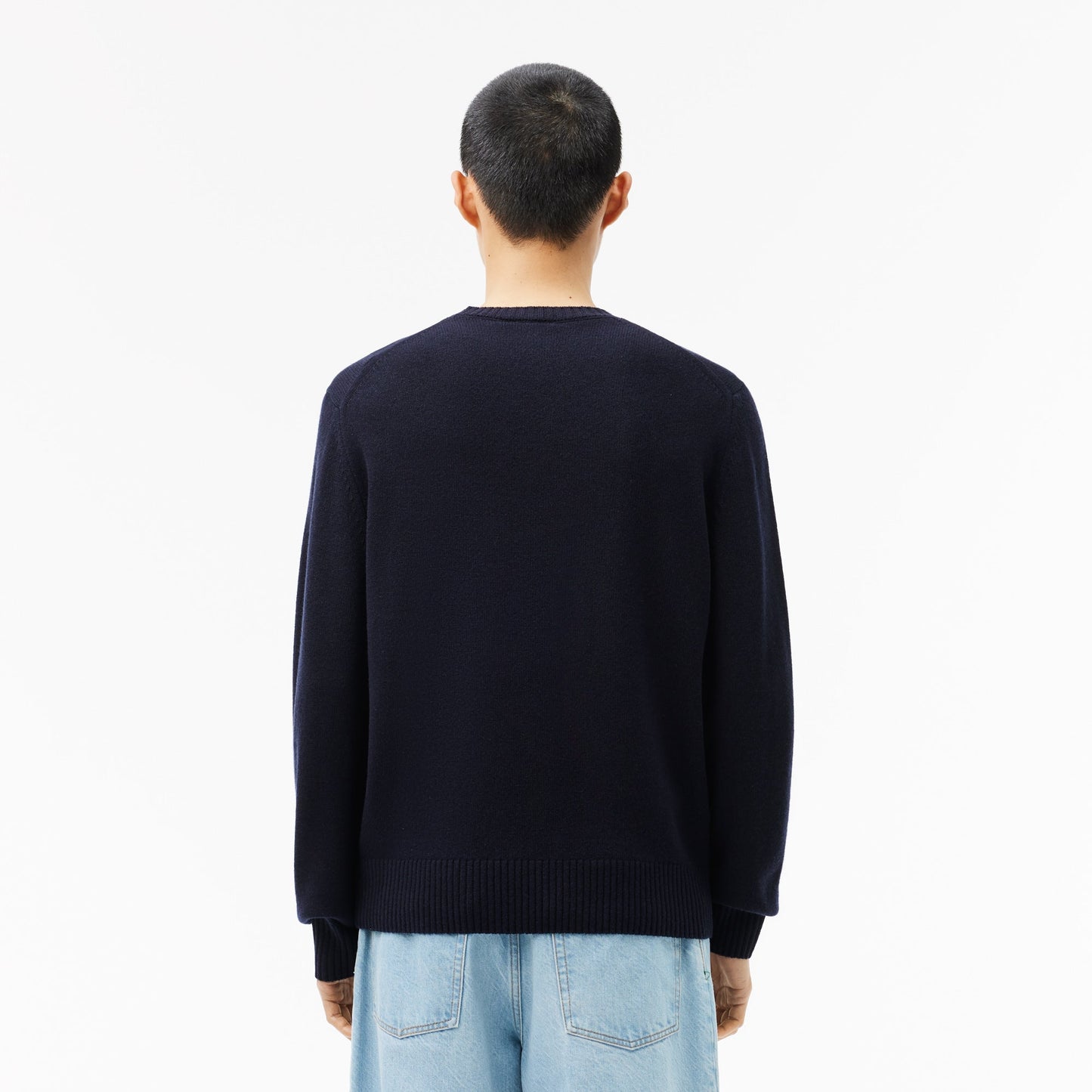 Carded Wool Crew Neck Sweater-AH2916