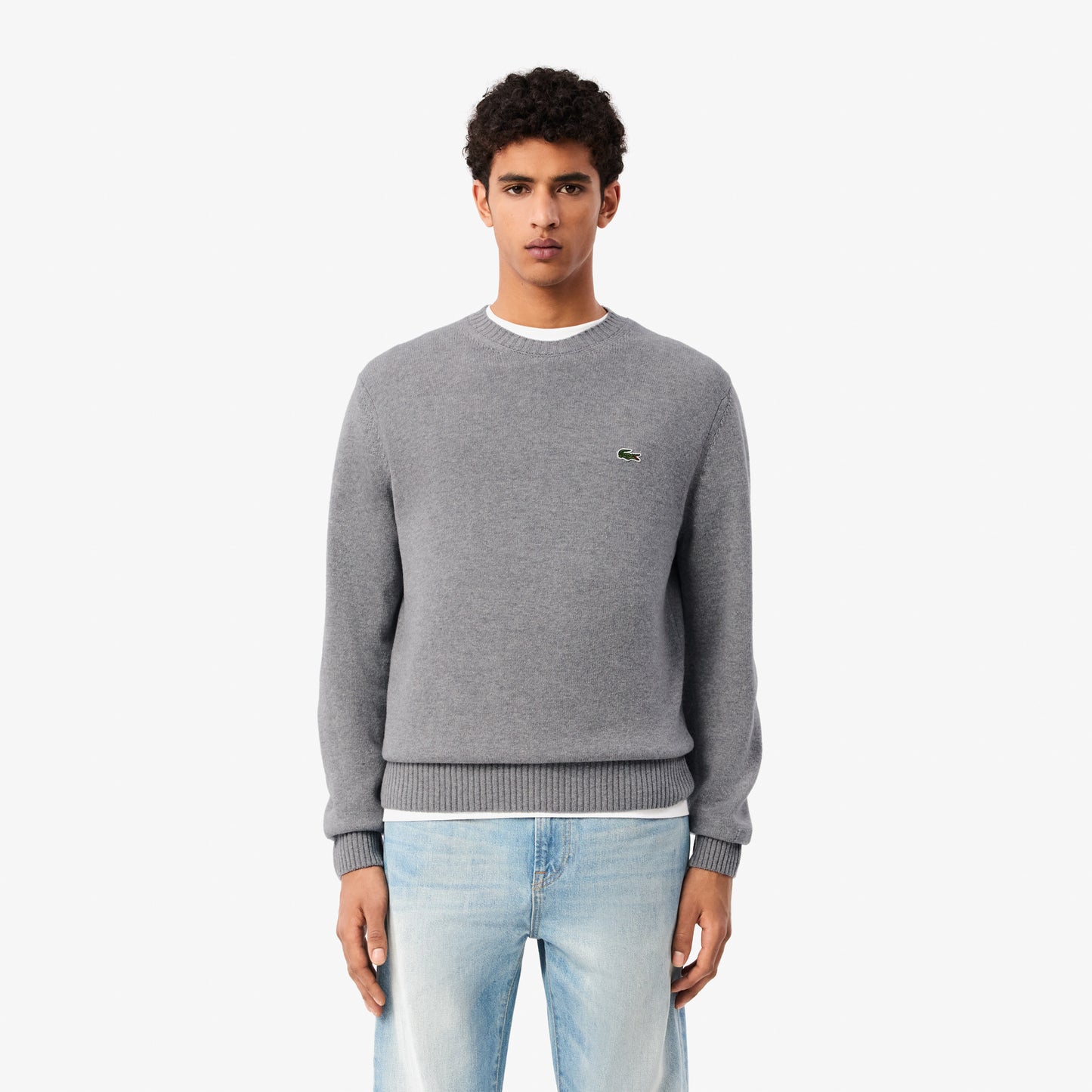 Carded Wool Crew Neck Sweater-AH2916