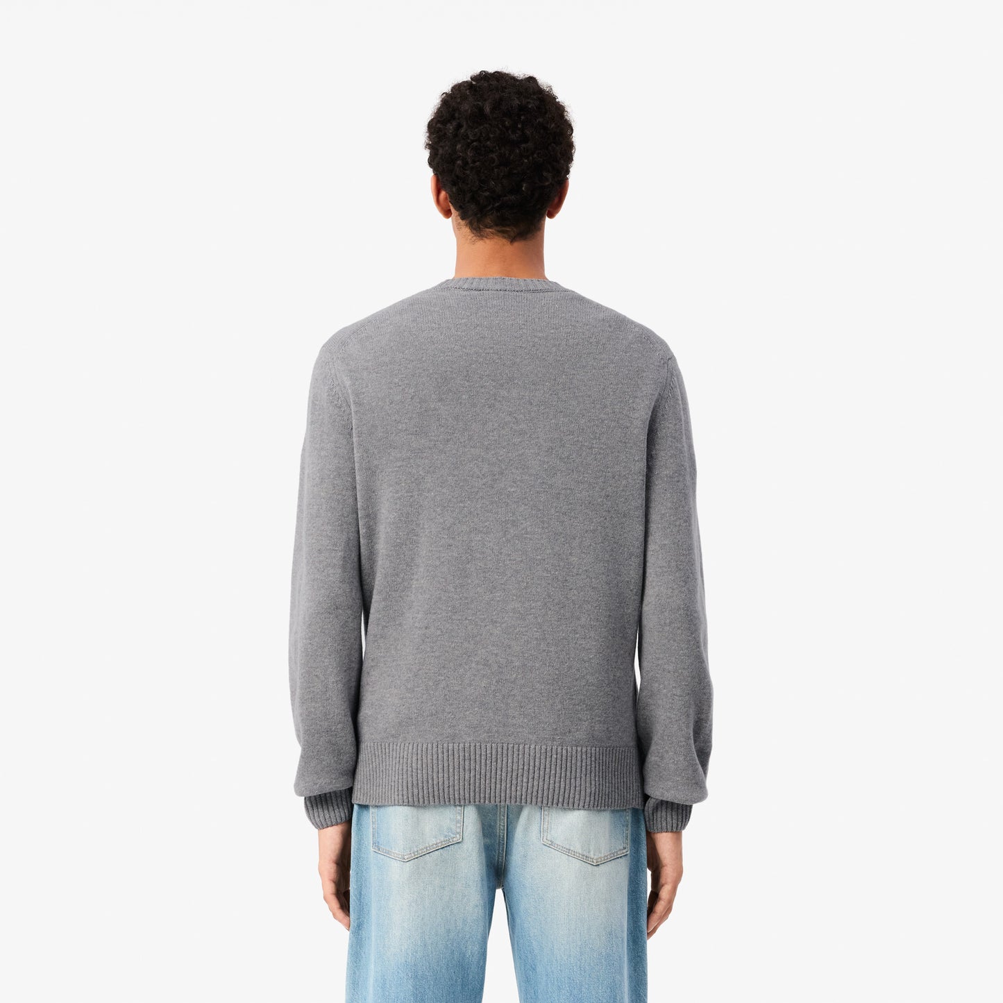 Carded Wool Crew Neck Sweater-AH2916