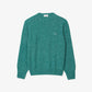 Mercerized Carded Wool Crew Neck Sweater - AH2920