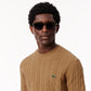 Cable Knit Carded Wool Crewneck Sweater - AH2924