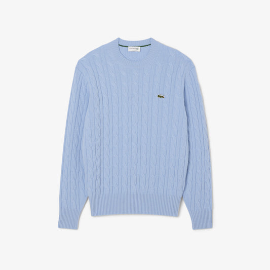 Cable Knit Carded Wool Crew Neck Sweater-AH2924