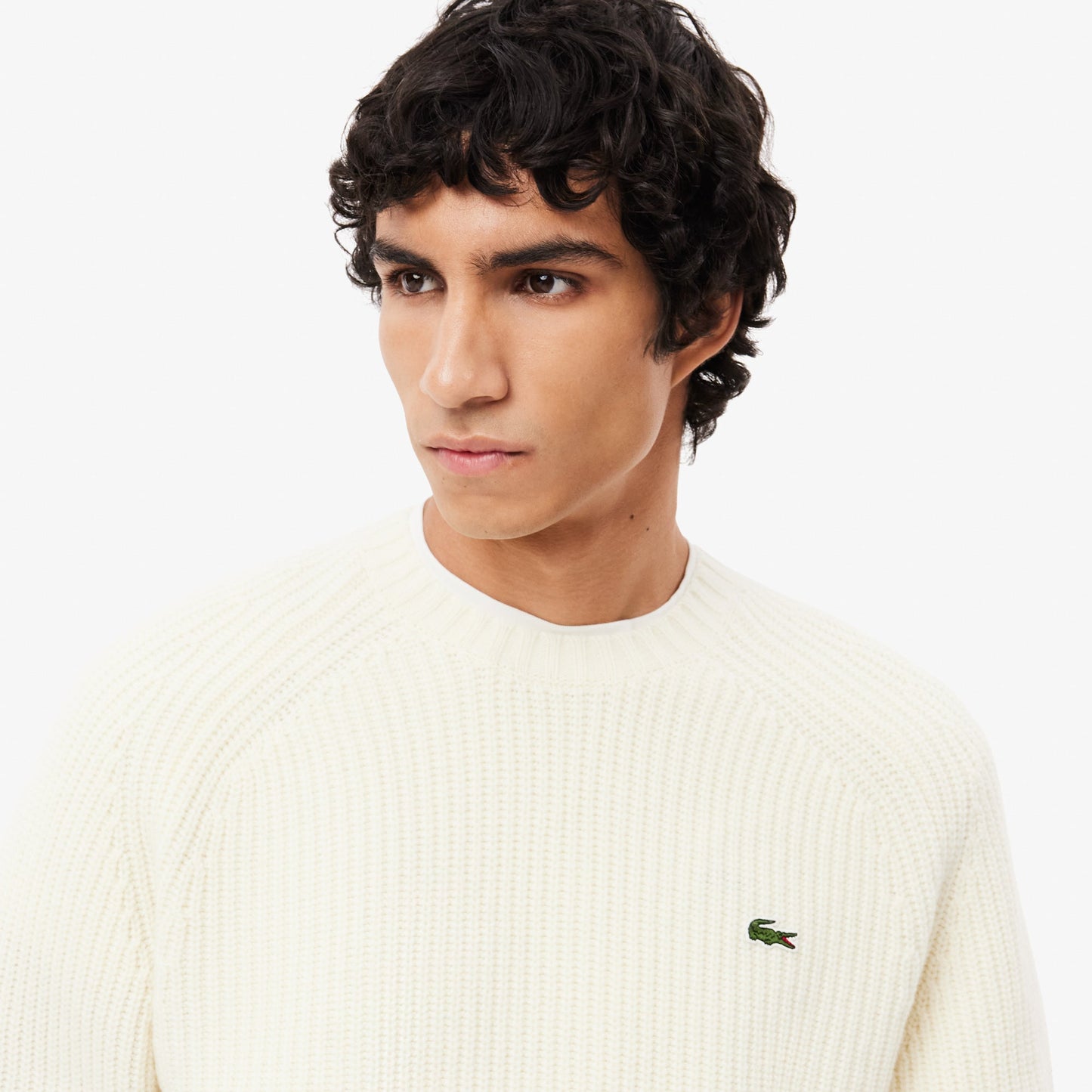 Thick Carded Wool Crew Neck Sweater - AH3142