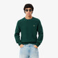 Thick Carded Wool Crew Neck Sweater-AH3142
