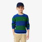 Two Tone Striped Cotton Sweater - AJ2544