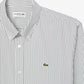 Regular Fit Striped Pinpoint Shirt - CH5084