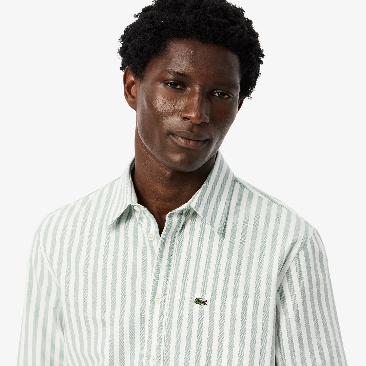 Regular Fit Striped Oxford Shirt - CH5623