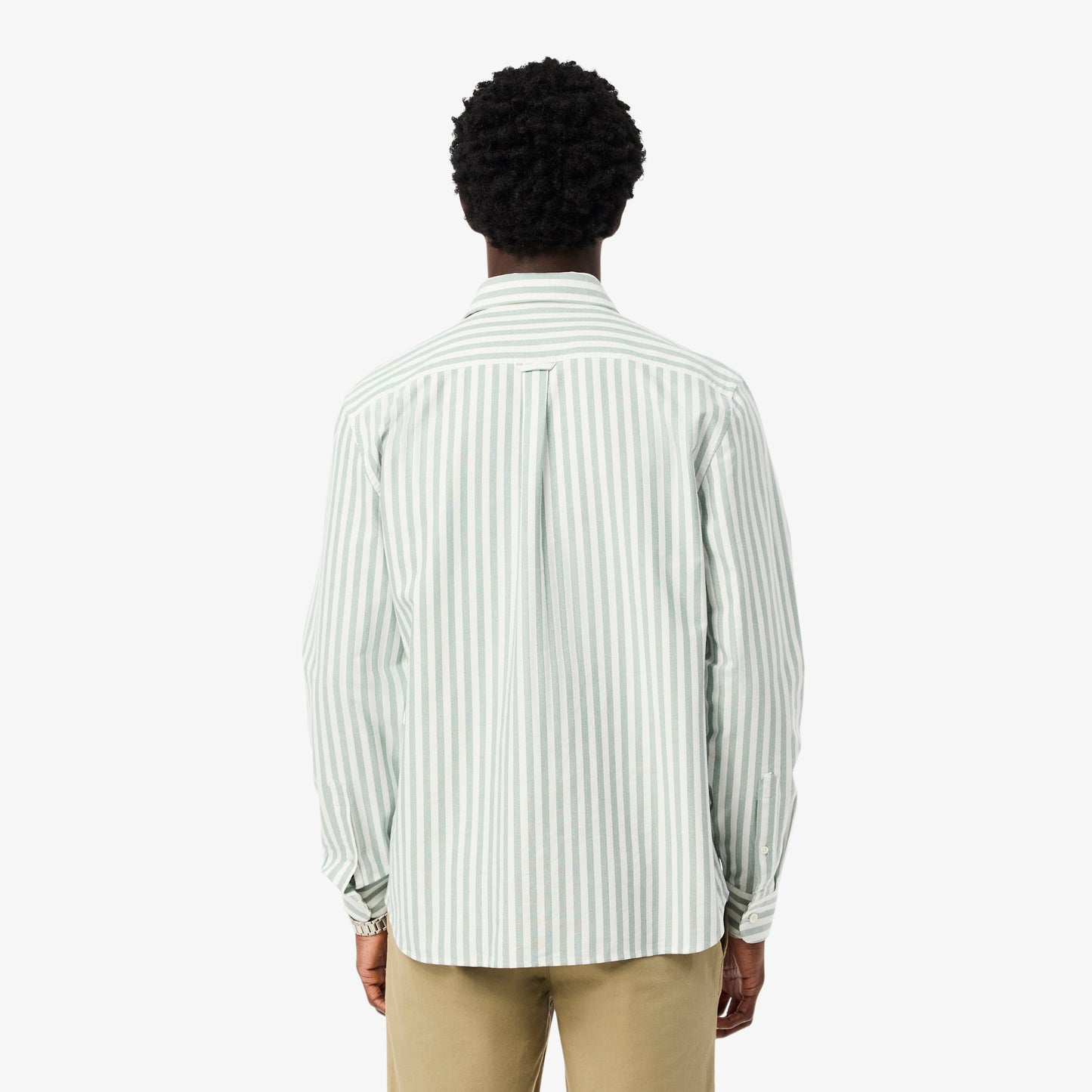 Regular Fit Striped Oxford Shirt - CH5623