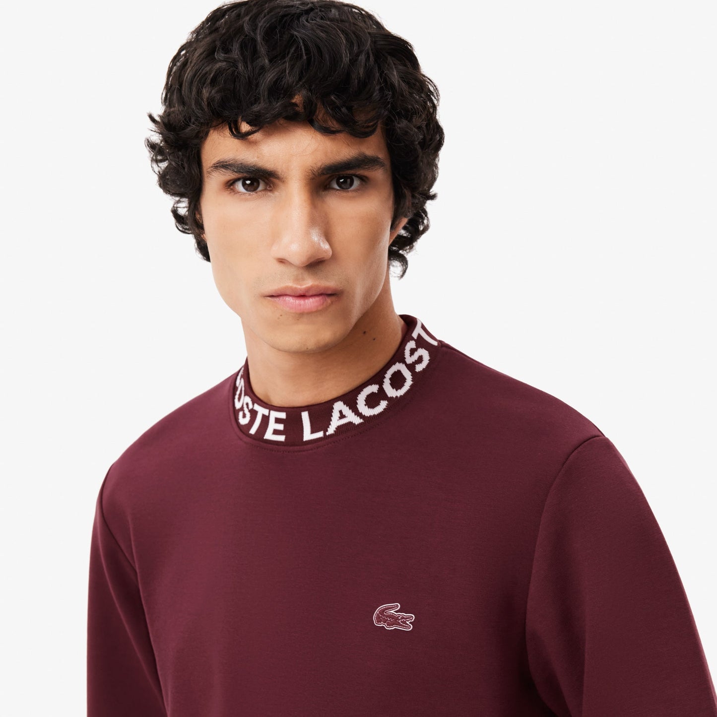 Logo Jacquard Crew Neck Sweatshirt - SH7473