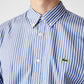 Men's Regular Fit Striped Cotton Shirt - CH2936